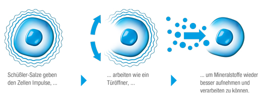 BIOCHEMIE DHU 3 Ferrum phosphoricum D 12 tabletes, 200 kapsulas