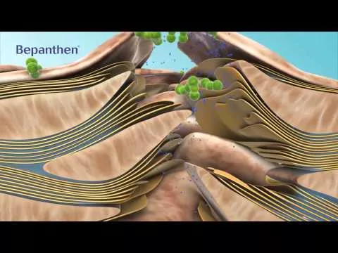 Video par Bepanthen Sensiderm krēms, 20 g