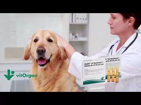 Video par NeyDIL® Nr. 68 Revitorgan® D4 pro vet.Ampulas, 5X2 ml