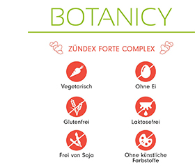ZÜNDEX forte komplekss ar OptiMSM kapsulas, 60 kapsulas