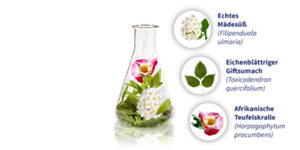 GELENCIUM artro maisījums, 2X100 ml