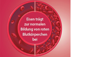 EISEN DIREKT plus C vitamīns + folskābe + B12 pulveris, 60 gab