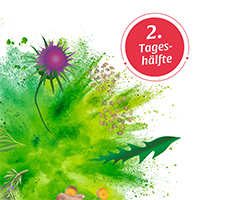 BASEN AKTIV Tēja Nr. 2 Piena pienenes Organic Salus, 40 kapsulas