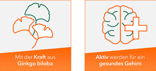 GINKOBIL-ratiopharm 240 mg apvalkotās tabletes, 60 gab
