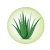PAPILOCARE Vaginālais gels, 7X5 ml