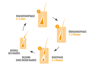BIO-H-TIN Hair Essentials mikroelementu kapsulas, 30 kapsulas