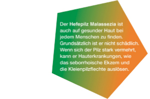 KETOZOLIN 2% šampūns, 120 ml