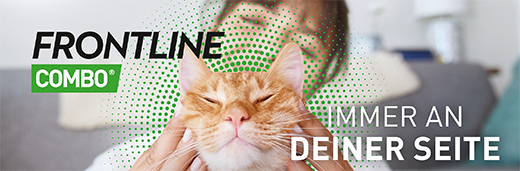 FRONTLINE Combo Spot on cat šķīdums uzklāšanai uz ādas, 3 gab