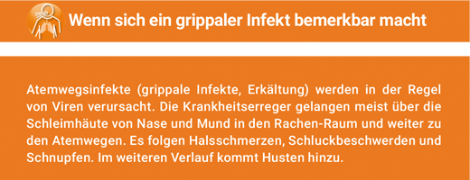 ANGOCIN Anti Infekt N apvalkotās tabletes, 50 gab