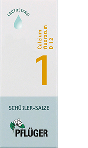 BIOCHEMIE Pflüger 1 Calcium fluoratum D 12 pilieni, 100 ml