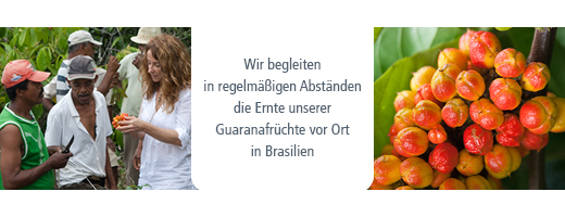 GUARANA BIO Tīrs pulveris, 100 g