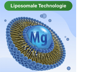 GLYCOWOHL vital liposomālā magnija lielās devas kapsulas, 120 gab