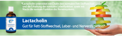 LACTACHOLIN Dr Jacob's pilieni, 100 ml