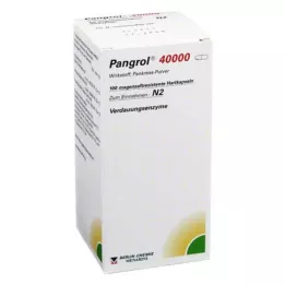 PANGROL 40 000 cieto kapsulu ar zarnu apvalku, 100 gab