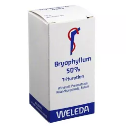 BRYOPHYLLUM 50% pulveris iekšķīgai lietošanai, 20 g