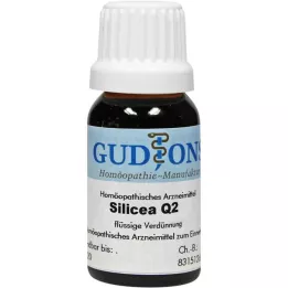 SILICEA Q 2 šķīdums, 15 ml