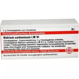 NATRIUM CARBONICUM LM VI Globules, 5 g