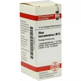 RHUS TOXICODENDRON LM VI Atšķaidījums, 10 ml