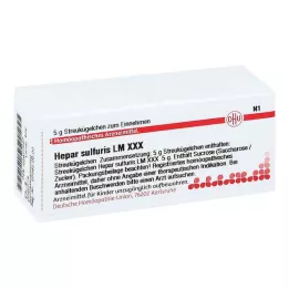HEPAR SULFURIS LM XXX Globules, 5 g