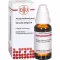 CURCUMA LONGA D 4 atšķaidījums, 20 ml