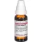 CURCUMA LONGA D 4 atšķaidījums, 20 ml