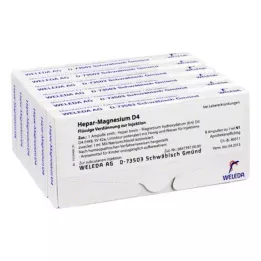 HEPAR MAGNESIUM D 4 ampulas, 48X1 ml