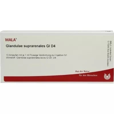 GLANDULAE SUPRARENALES GL D 4 ampulas, 10X1 ml