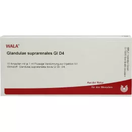 GLANDULAE SUPRARENALES GL D 4 ampulas, 10X1 ml