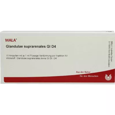 GLANDULAE SUPRARENALES GL D 4 ampulas, 10X1 ml