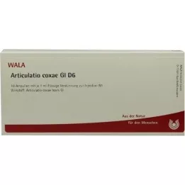 ARTICULATIO coxae GL D 6 ampulas, 10X1 ml