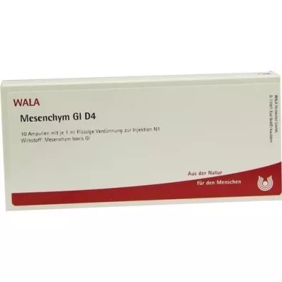 MESENCHYM GL D 4 ampulas, 10X1 ml