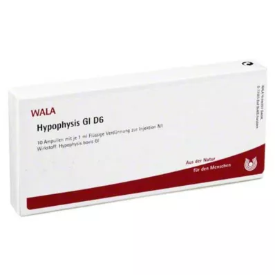 HYPOPHYSIS GL D 6 ampulas, 10X1 ml