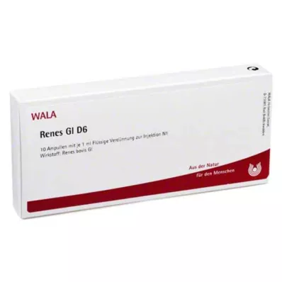 RENES GL D 6 ampulas, 10X1 ml