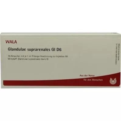 GLANDULAE SUPRARENALES GL D 6 ampulas, 10X1 ml