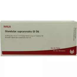 GLANDULAE SUPRARENALES GL D 6 ampulas, 10X1 ml