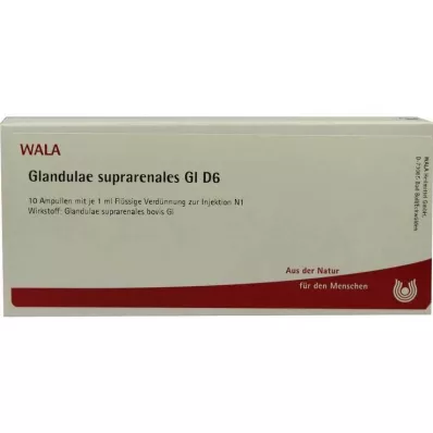 GLANDULAE SUPRARENALES GL D 6 ampulas, 10X1 ml