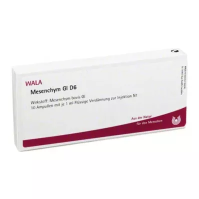 MESENCHYM GL D 6 ampulas, 10X1 ml