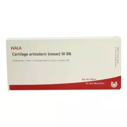 CARTILAGO articularis coxae GL D 6 ampulas, 10X1 ml