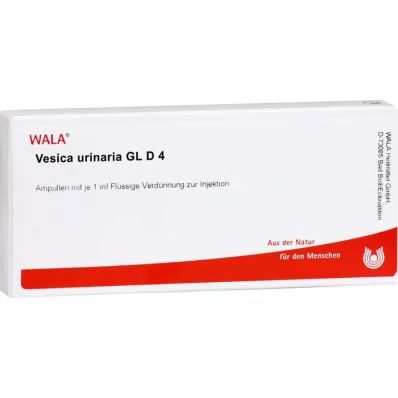 VESICA URINARIA GL D 4 ampulas, 10X1 ml