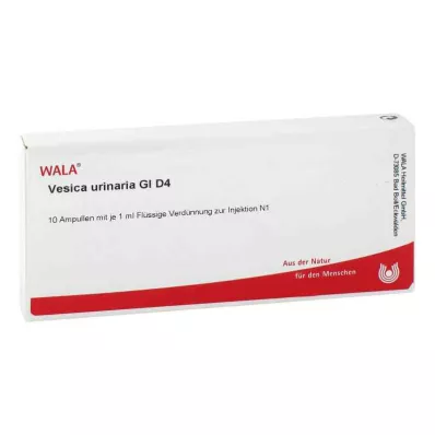 VESICA URINARIA GL D 4 ampulas, 10X1 ml VESICA URINARIA GL D 4 ampulas, 10X1 ml