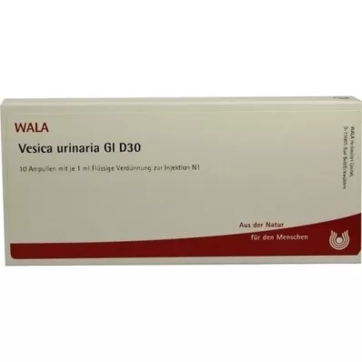 VESICA URINARIA GL D 30 ampulas, 10X1 ml