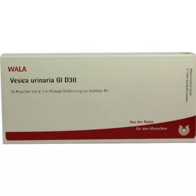 VESICA URINARIA GL D 30 ampulas, 10X1 ml VESICA URINARIA GL D 30 ampulas, 10X1 ml