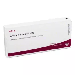 ARNICA E Planta tota D 6 ampulas, 10X1 ml