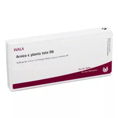 ARNICA E Planta tota D 6 ampulas, 10X1 ml