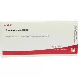 BINDEGEWEBE GL D 6 ampulas, 10X1 ml