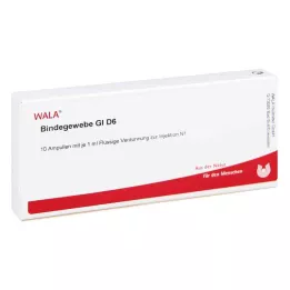 BINDEGEWEBE GL D 6 ampulas, 10X1 ml