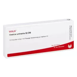 VESICA URINARIA GL D 6 ampulas, 10X1 ml