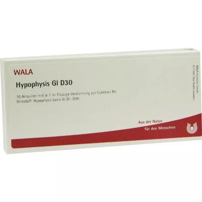 HYPOPHYSIS GL D 30 ampulas, 10X1 ml HYPOPHYSIS GL D 30 ampulas, 10X1 ml