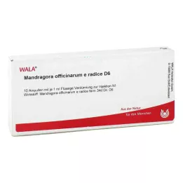 MANDRAGORA OFFICINARIUM e radice D 6 ampulas, 10X1 ml
