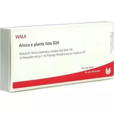 ARNICA E Planta tota D 20 ampulas, 10X1 ml